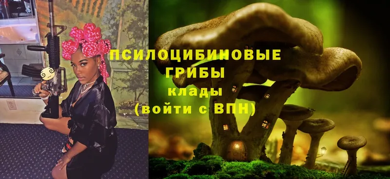 Псилоцибиновые грибы Psilocybe  продажа наркотиков  Дедовск 